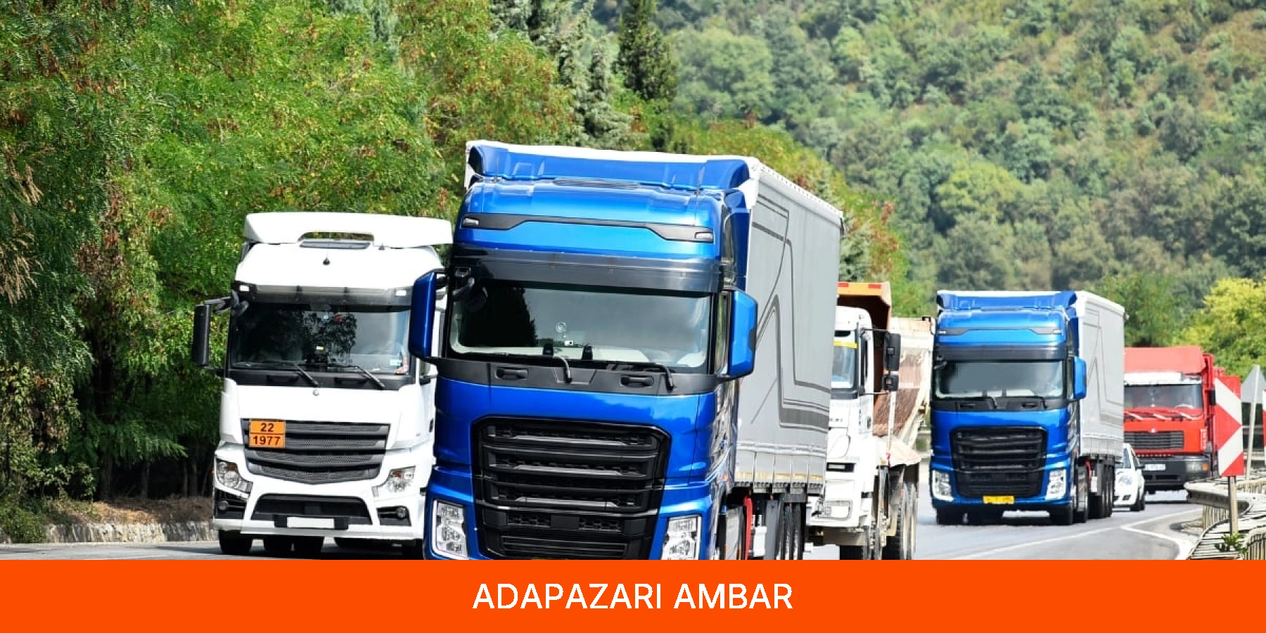 Adapazarı Ambar