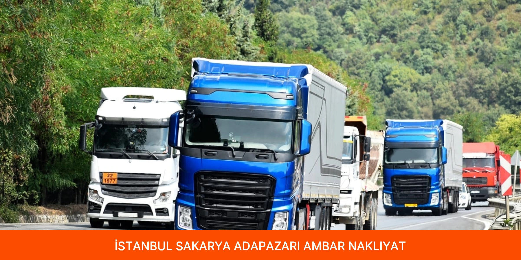 Adapazarı Ambar